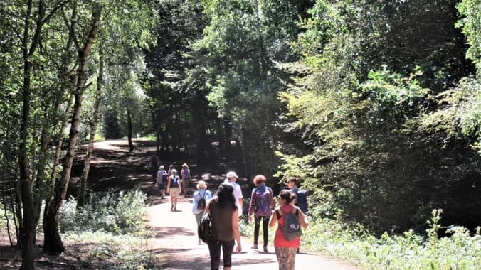 image showcasing event: Brookmans Park Circular 
