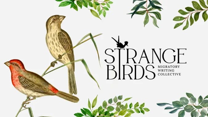 image showcasing event: FINCHES - Open Genre 5k Short Story Feedback Group